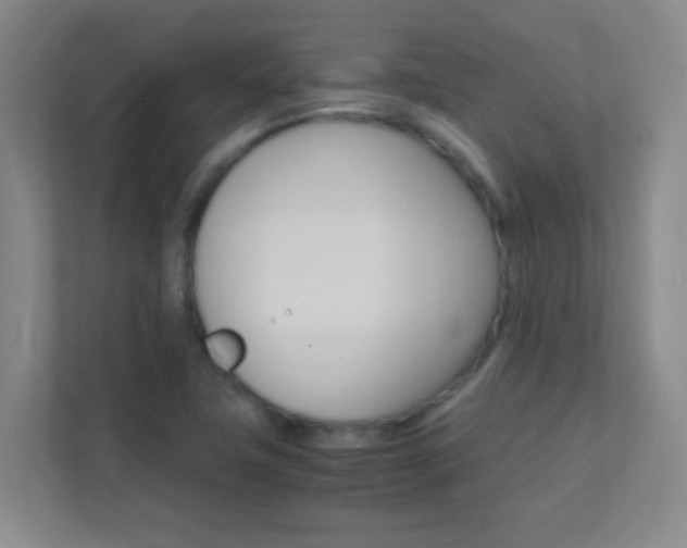 X0000113871411200909240957