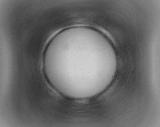 X0000113871415200909240957