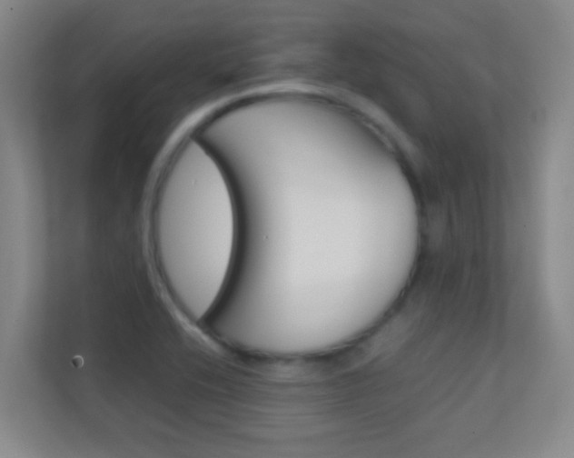 X0000113871416200909240957