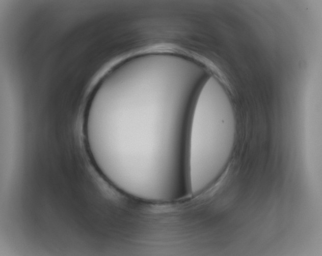 X0000113871422200909240957