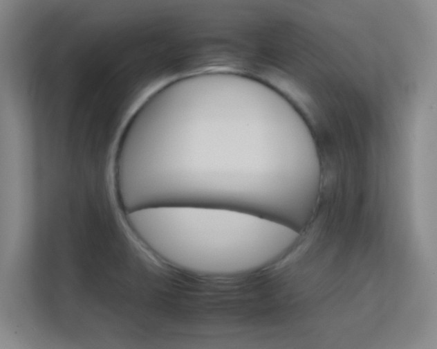 X0000113871423200909240957