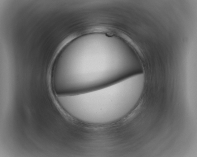 X0000113871426200909240957