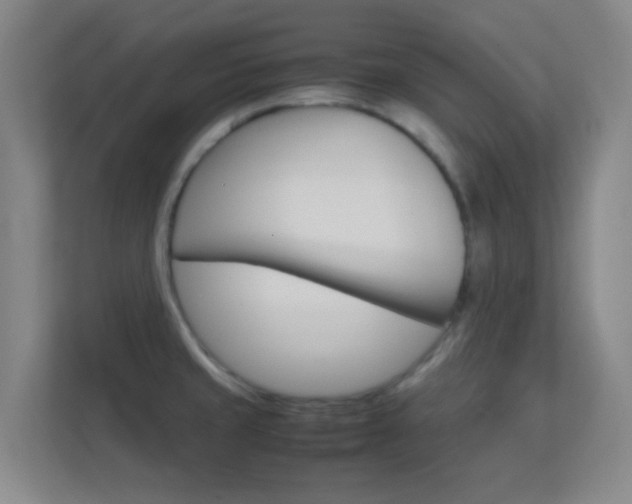 X0000113871429200909240957