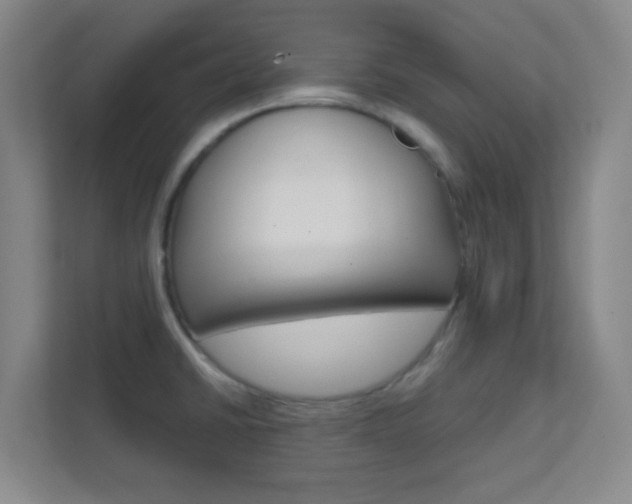 X0000113871430200909240957