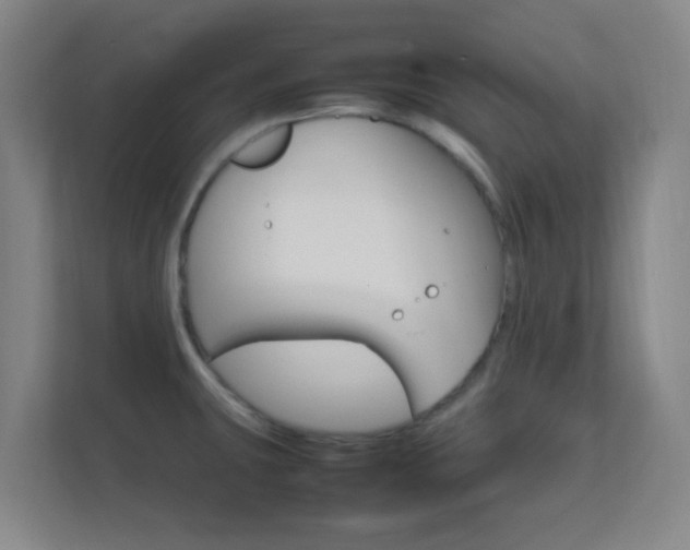 X0000113871431200909240957
