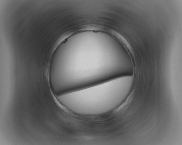 X0000113871433200909240957