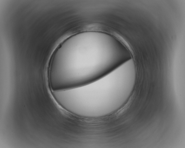 X0000113871434200909240957