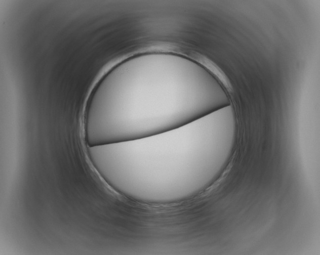 X0000113871436200909240957