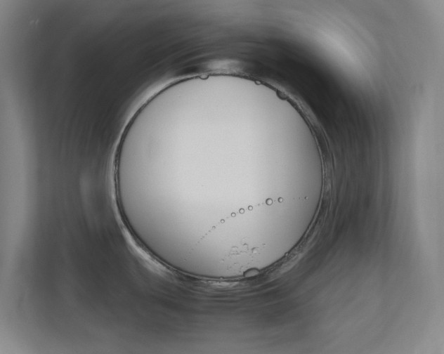 X0000113871439200909240957