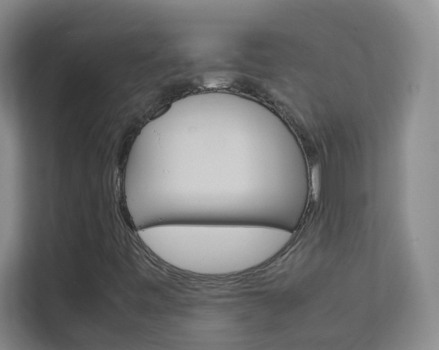 X0000113871443200909240956