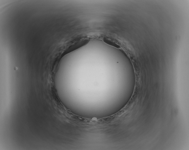 X0000113871445200909240956