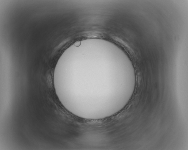 X0000113871446200909240956