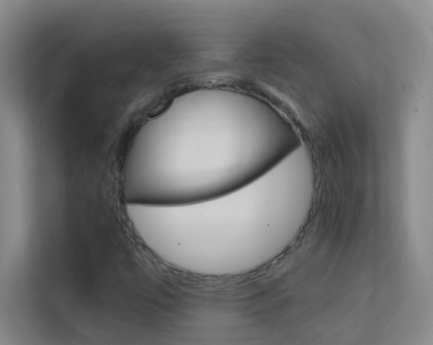 X0000113871447200909240956