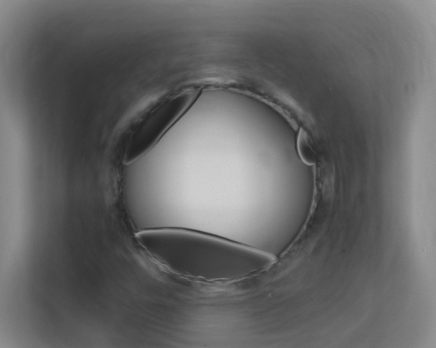 X0000113871448200909240956