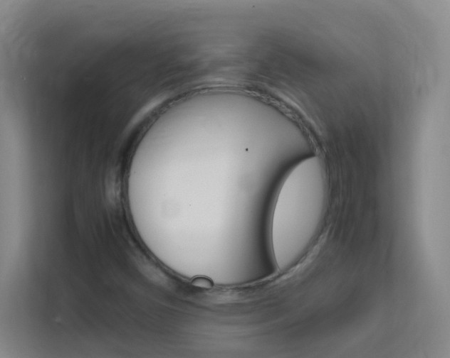 X0000113871450200909240956