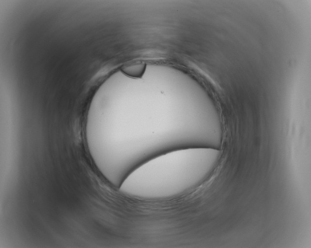 X0000113871451200909240956
