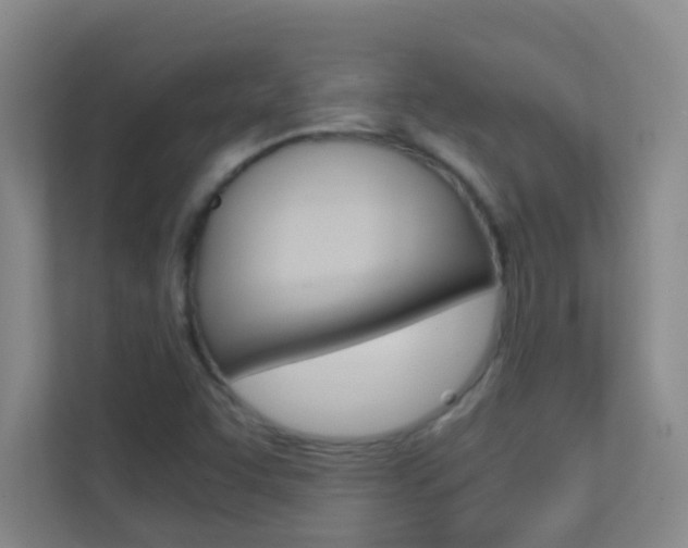 X0000113871455200909240956
