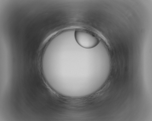 X0000113871456200909240956