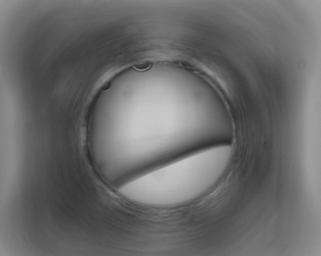 X0000113871459200909240956