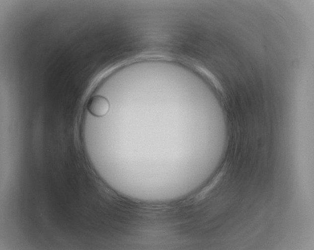 X0000113871461200909240956