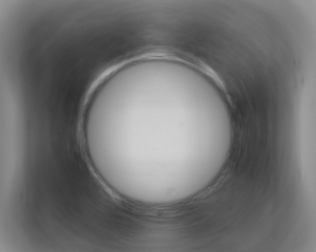 X0000113871464200909240956