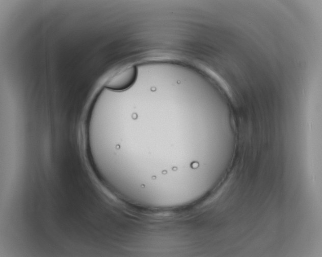 X0000113871467200909240956