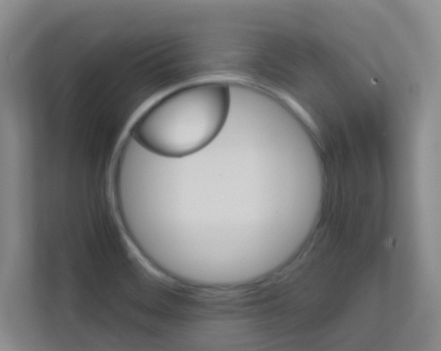 X0000113871468200909240956