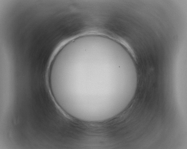 X0000113871472200909240956