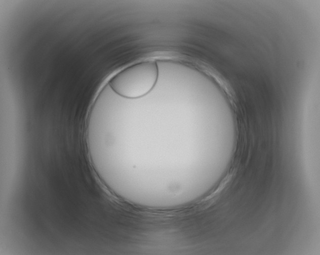 X0000113871473200909240956