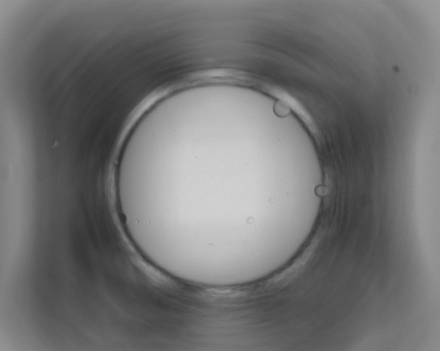 X0000113871474200909240956