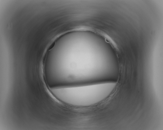 X0000113871476200909240956