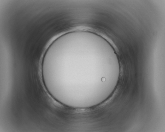 X0000113871478200909240956