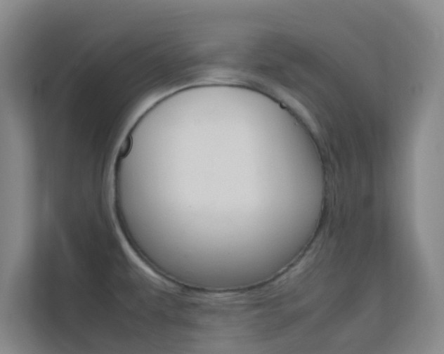 X0000113871479200909240956