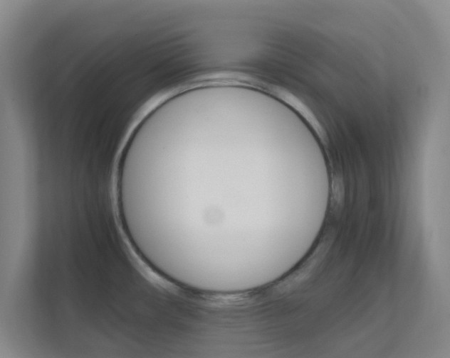 X0000113871482200909240956