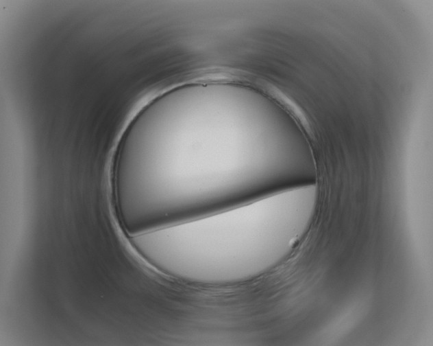 X0000113871483200909240956