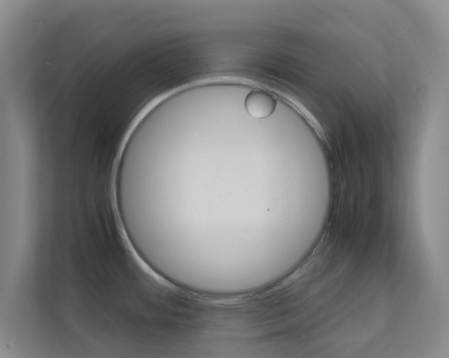 X0000113871484200909240956