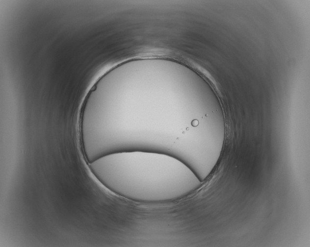 X0000113871487200909240956