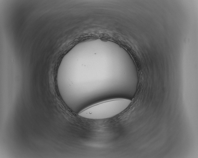 X0000113871489200909240955