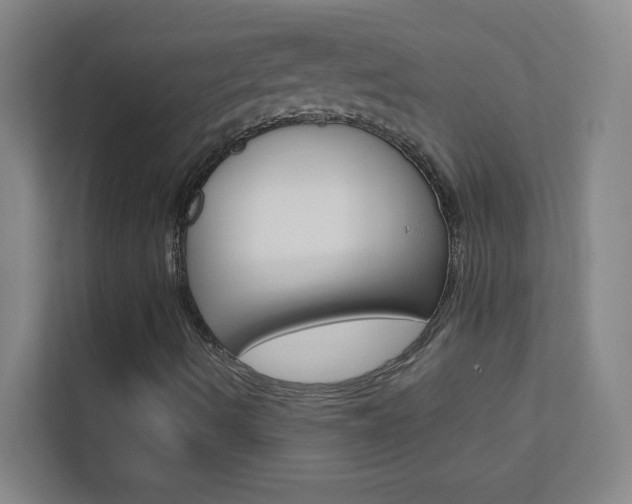 X0000113871490200909240955