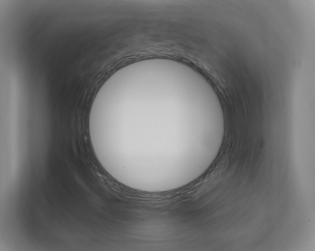 X0000113871492200909240955