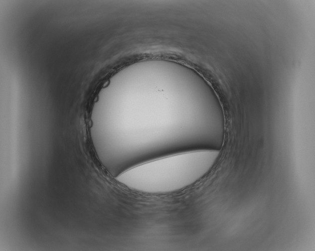 X0000113871493200909240955