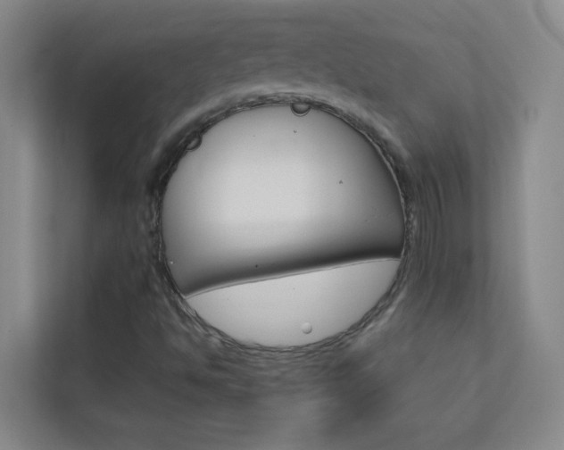X0000113871494200909240955