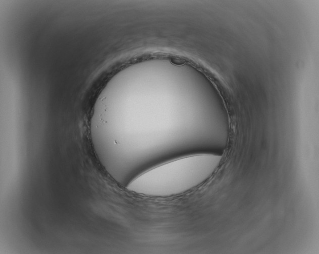 X0000113871495200909240955