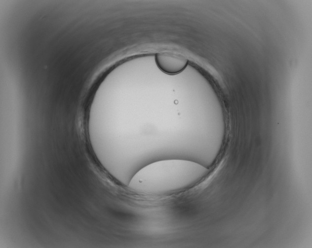 X0000113871498200909240955