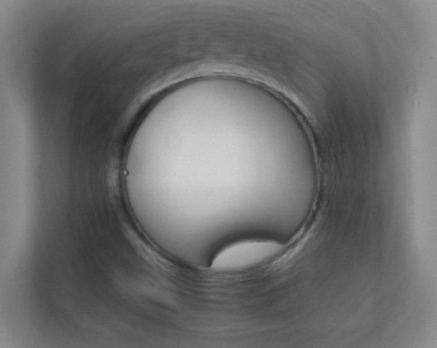 X0000113871499200909240955