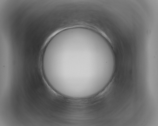 X0000113871500200909240955