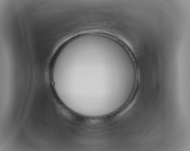 X0000113871501200909240955