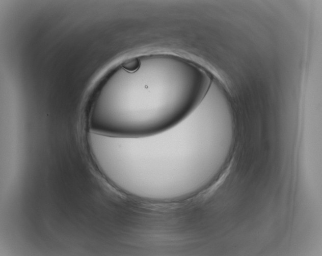 X0000113871502200909240955