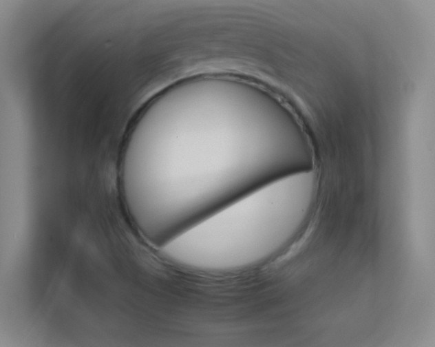 X0000113871505200909240955