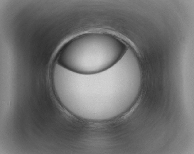 X0000113871506200909240955